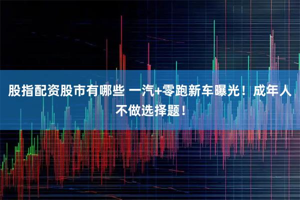 股指配资股市有哪些 一汽+零跑新车曝光！成年人不做选择题！